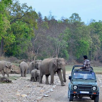 jungle safari in rishikesh